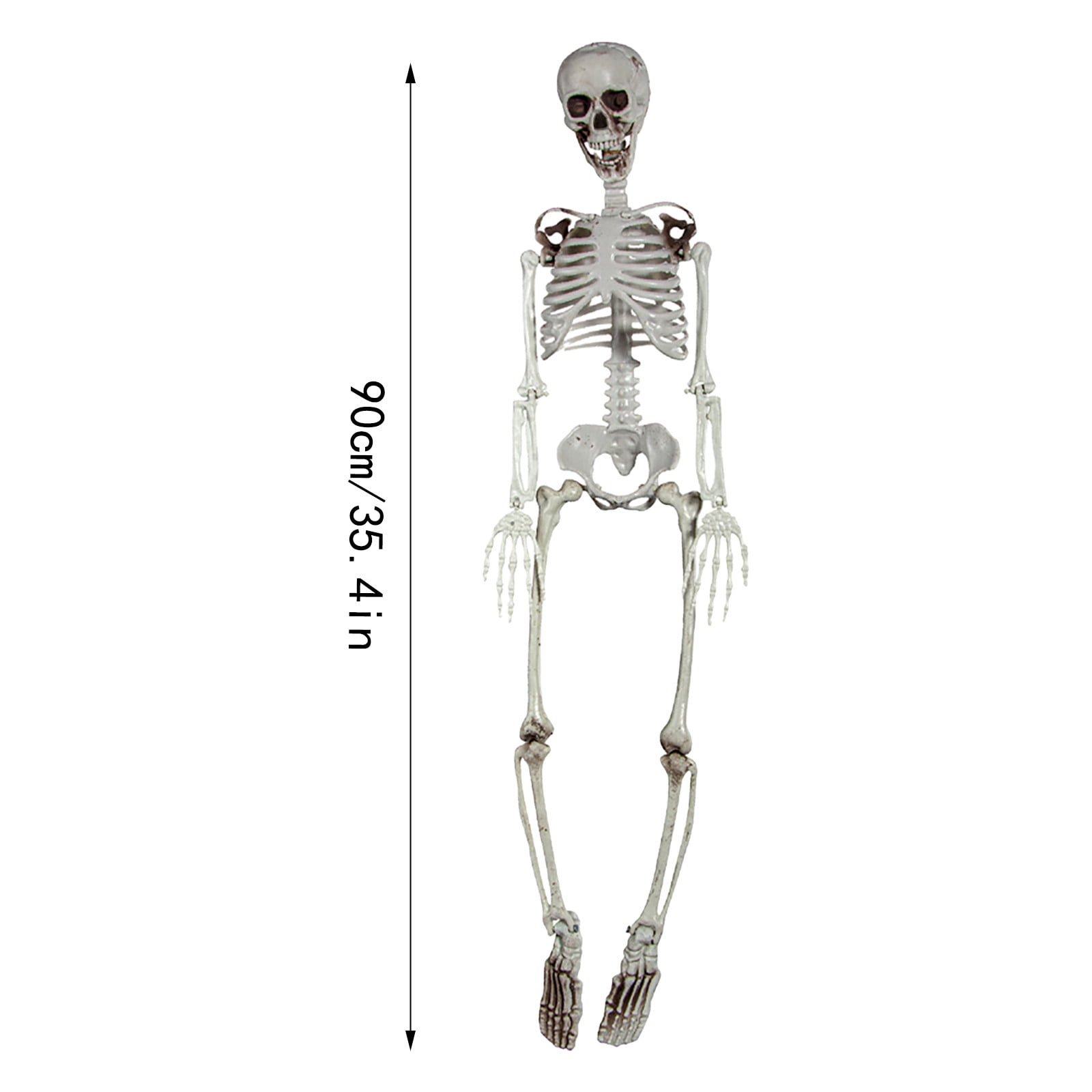 90cm Human Skeleton Ornament Party Bar Props Full Body Skeleton Props ...