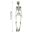 90cm Human Skeleton Ornament Party Bar Props Full Body Skeleton Props
