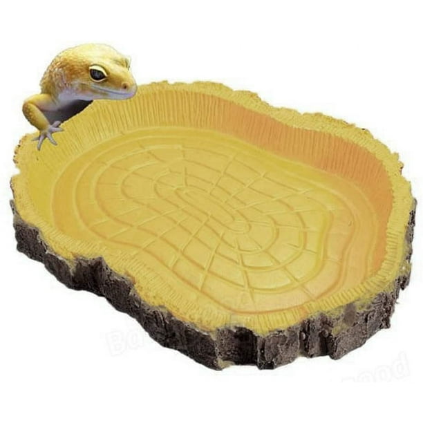 Reptile Turtle Water Dish Food Bowl Swimming Pool For Turtle Reptiles