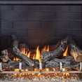 thumbnail image 2 of Duluth Forge Outdoor Fireplace Insert with Concrete Log Set, Slate Gray Brick Fiber Liner- Model-DF450SS-L-SG, 2 of 5