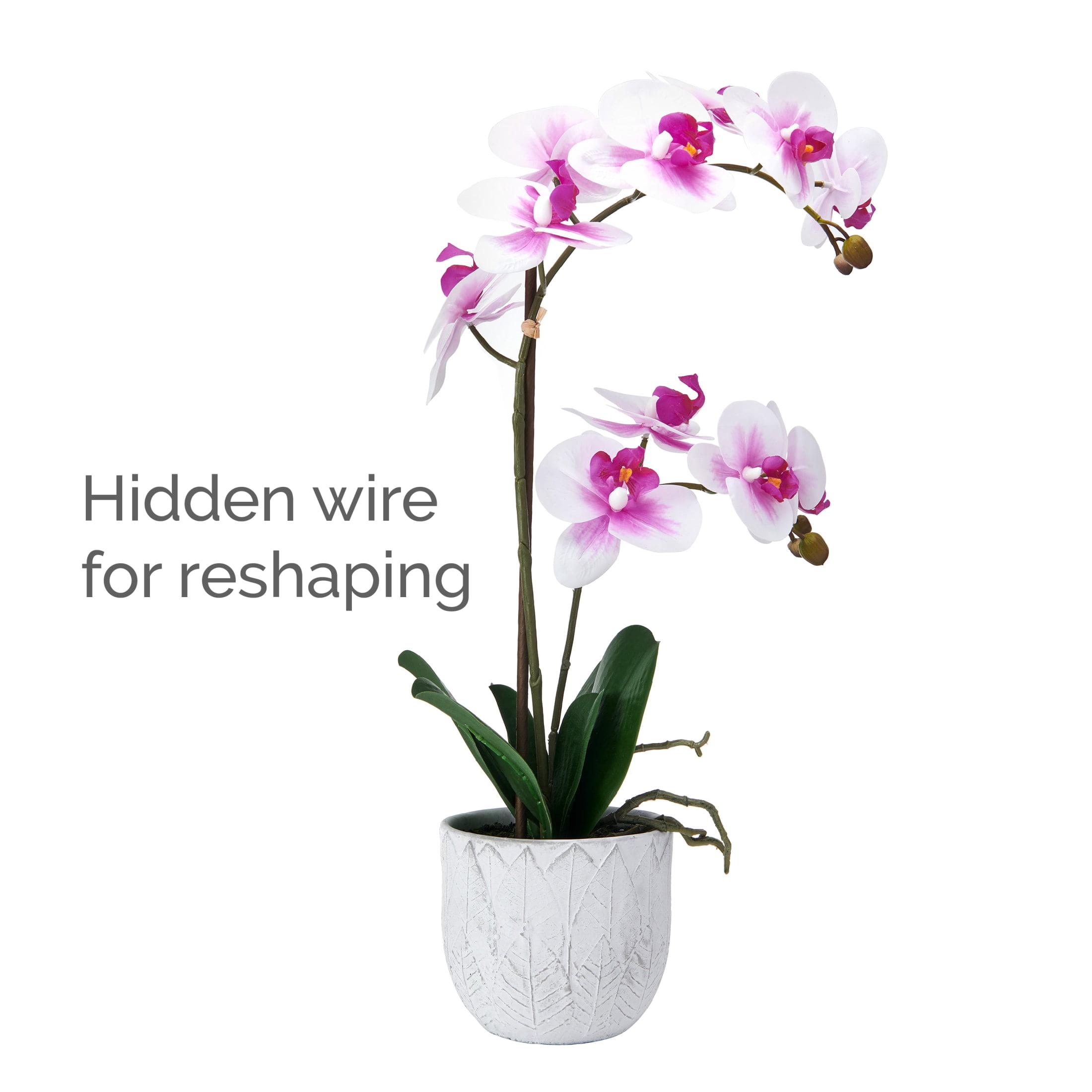 Home Accents 22-inch Artificial Real Touch Phalaenopsis Orchid in Cement Pot, White/Fuchsia