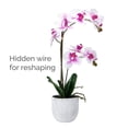 thumbnail image 4 of Home Accents 22-inch Artificial Real Touch Phalaenopsis Orchid in Cement Pot, White/Fuchsia, 4 of 7