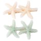 thumbnail image 1 of 2pcs Unique Sea Star Hair Clips Durable Fashion Hair Accessories for Women Bobby Pins for Parties Attractive Design, 1 of 1