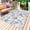 White Blue, variant on Beach Coastal Outdoor Rug for Patio/Deck/Porch, Non-Slip Large Area Rug 3 x 5 Ft, Ocean Nautical Starfish Coral Seashells Indoor Outdoor Rugs Washable Area Rugs, Reversible Camping Rug Carpet Runner
