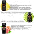 thumbnail image 2 of Aromatherapy Neroli Essential Oil Set for Diffuser, 100% Pure Grapefruit Essential Oils Set for Humidifier, 6x10ml Aromatherapy Lemon Essential Oil Set - Orange, Bergamot, Lemongrass Oils Set for Home, 2 of 6