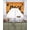 Black Orange, variant on Black BOO Halloween Swag Valances for Windows, Small Curtains Drapes, Cute Ghost Spooky Star Moon Dots Kitchen Window Curtains Over Sink Window Treatment Valance for Bedroom/Bathroom 56"x36"