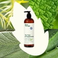 thumbnail image 3 of Plant Therapy Tea Tree and Peppermint Essential Oil Natural Body Wash 16 oz For all Skin Types, Sulfate Free Body Wash, For Men or Women, Refreshing & Invigorating Natural Scent, Hydrating Lather, 3 of 10