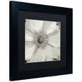 thumbnail image 2 of Trademark Fine Art "Florison 32" Canvas Art by Alan Blaustein, Black Matte, Black Frame, 2 of 4