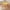 🔥 Yellow_New#1036, variant on Stretch Square Tablecloth Cover | 33.86x33.86 Inch Elastic Fitted Table Cover | Dustproof Stain Resistant Wrinkle-Free Polyester | Versatile for Dining Card Poker Tables | 1 Pack | Multiple Colors