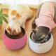 thumbnail image 2 of Tilted Cat Bowl, Stainless Steel Cat Bowl, Pet Bowl Set, 15 Tilted Raised Stand Detachable Bowl for, 2 of 3