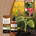 thumbnail image 3 of YFGEFTR Root Drops, Liquid Rooting Hormone for Cuttings, Rooting Drops for Plant Propagation, Promotes Faster, Stronger Root Growth, 3 of 7