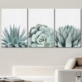 thumbnail image 2 of wall26 Wall Art Print Set Green Succulent and Cactus Variety Wilderness Nature Illustrations Modern Art Rustic Closeup Colorful for Living Room, Bedroom, Office - 16"x24"x3, 2 of 5