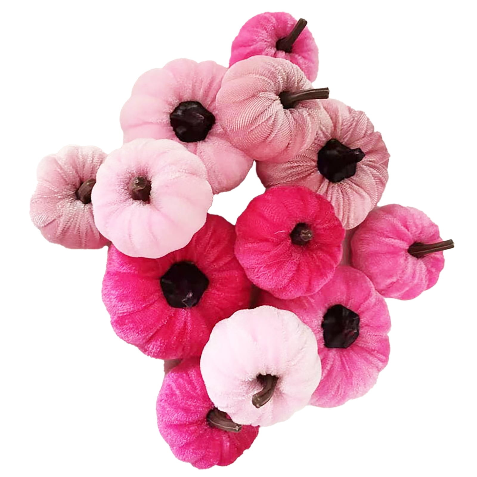 Citrouilles, Halloween, Gourdes De Récolte D'automne. Action De Grâces