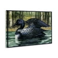thumbnail image 4 of Stupell Industries Swimming Woodland Loon Animals Painting Wrapped Canvas Art Print Wall Art, 24 x 16, 4 of 8