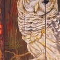 thumbnail image 2 of Owl Digital Print Throw Pillow, 18" x 18", 2 of 4