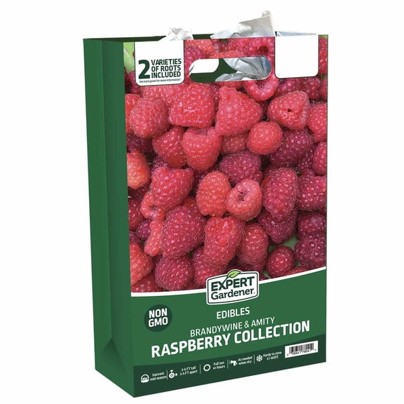 Expert Gardener Raspberry Collection #2 (Set of 2 Dormant Bare Roots) Full Sun, Red, Perennial