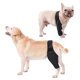 thumbnail image 5 of Bsvklp Rodillera Canina para Aliviar El Dolor en Las Articulaciones Rodillera para para Una Mejor Recuperación (XS), 5 of 9