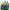 Multicolor, variant on Christmas Lights, 50 LED 16ft Battery Operated String Lights with 8 Modes for Outdoor Indoor Wedding Party Home Decoration, Multi-Colored