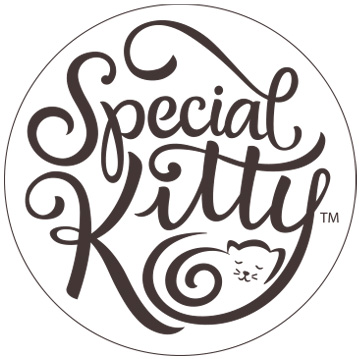 Special Kitty Fragrance Free Natural Clay Non-Clumping Cat Litter, 25 lb - image 10 of 10