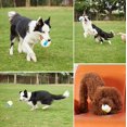thumbnail image 5 of Juguete para perros de voleibol de látex, pelota con dientes sonoros, juguete para mascotas (grande) Rojo Verde, 5 of 5