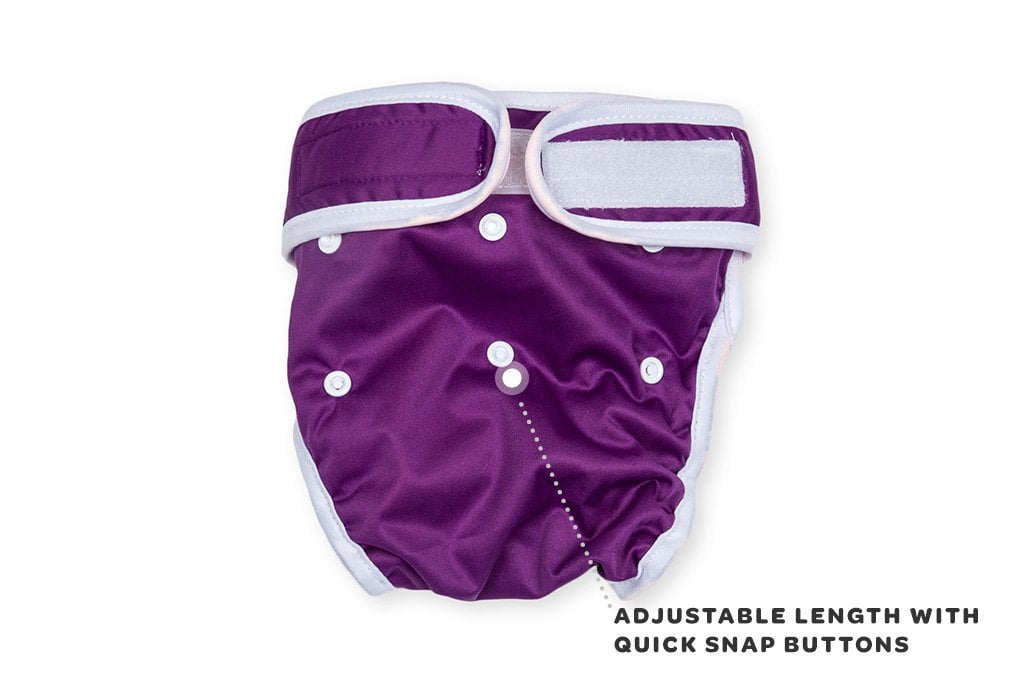 no tail hole dog diapers