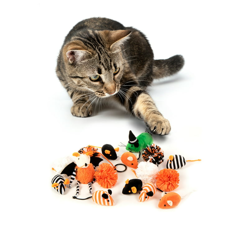 Buy SmartyKat Purrfect Play Cat Activity Mat - Same-Day Shipping - Vetco  Store