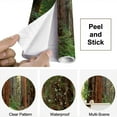 thumbnail image 4 of Peel and Stick Wallpaper Waterproof Light Forest Henry Cowell Redwoods State Park Wall Mural Decor Self Adhesive and Removable 69in x 98in, 4 of 8
