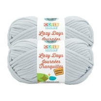 Lion Brand Yarn Cover Story Lazy Days Thick & Quick Pale Grey Super Bulky Polyester Gray Yarn 2 Pack