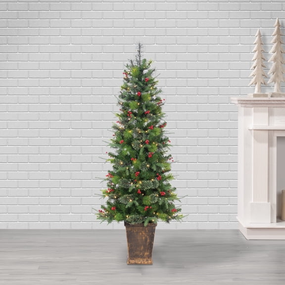 Gerson 6 ft. Pre Lit Warm White LED Potted Hard Needle Douglas Pine