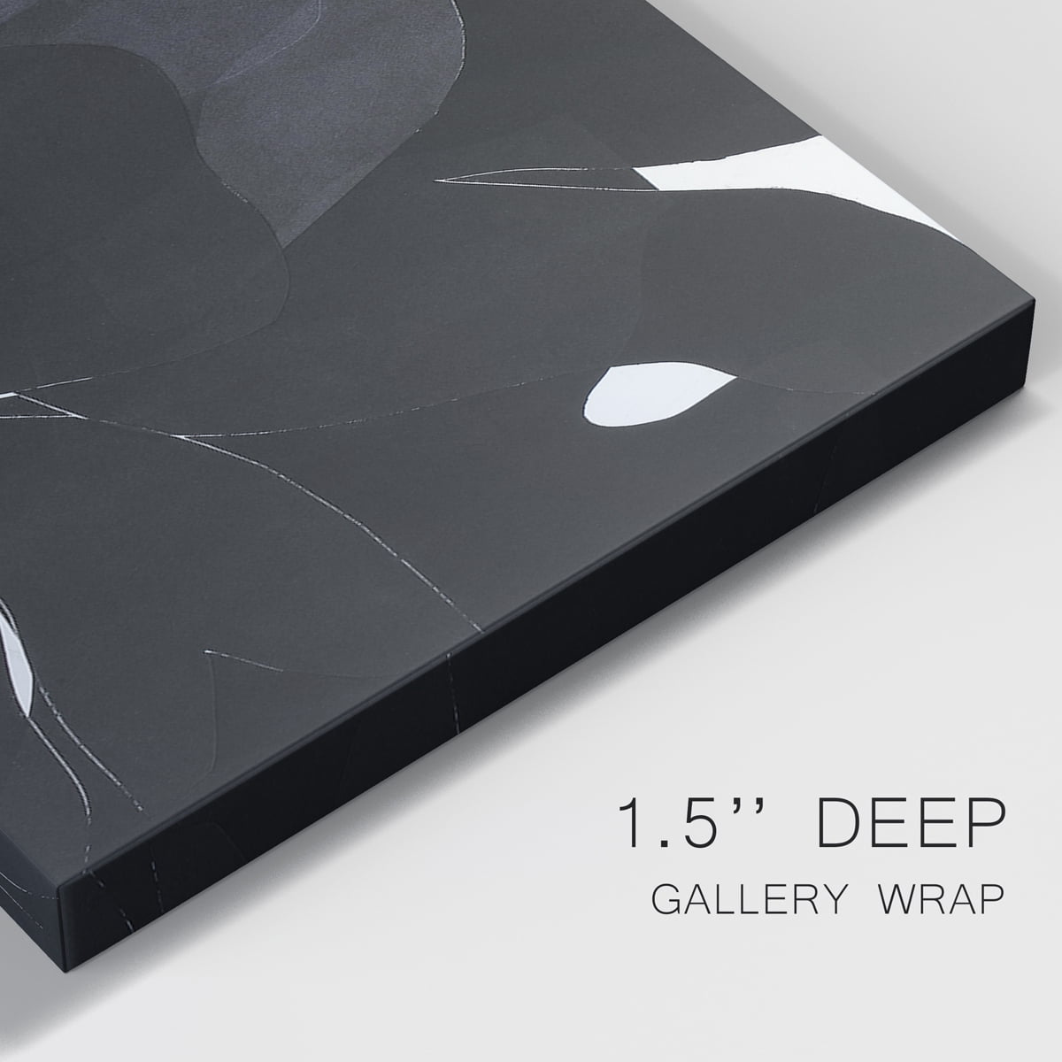 Night Bloom I Premium Gallery Wrapped Canvas - Ready to Hang - 32 x 48 Each