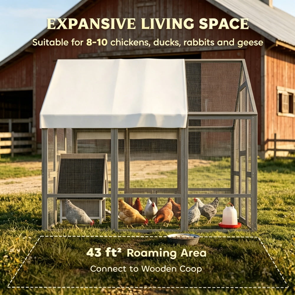 Chicken Coop