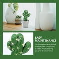 thumbnail image 2 of Plant Large Artificial Potted Cactus Decorate Plants Desktop Ornament Kitchen Decoration Tabletop Bonsai, 2 of 6