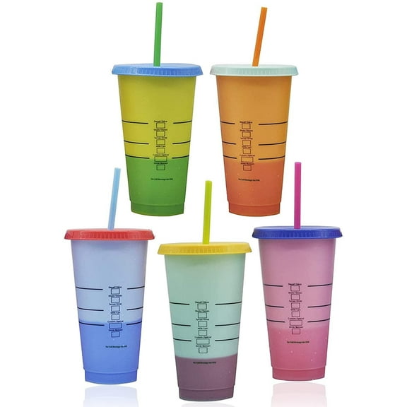 5 Color Changing Cups Blank Cups 24oz Reusable Tumbler with Lids and Straws,BPA Free Reusable Plastic Cold Drink Cups with Lids and Straws, Smoothie Cups,Party Cups,Set Of 5