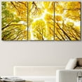 thumbnail image 2 of wall26 Canvas Print Wall Art Set Ground View of Yellow &amp; Green Autumn Trees Nature Wilderness Photography Realism Chic Scenic Relax/Calm Multicolor for Living Room, Bedroom, Office - 24"x36&, 2 of 5