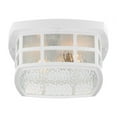 thumbnail image 2 of Quoizel Lighting - Two Light Outdoor Flush Mount - Outdoor Lantern - Stonington, 2 of 7