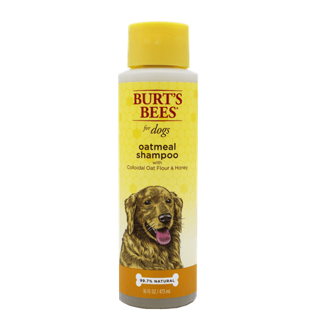 Burts bees oatmeal dog shampoo, 16-oz bottle (Best Puppy Shampoo For Goldendoodles)