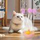 thumbnail image 5 of Juguetes interactivos para gatos, juguetes para gatos de interior, juguete interactivo para gatitos aburridos, varita de juguete, regalo de cumpleaños para gatitos para mantenerlos ocupados, juguetes, 5 of 6