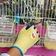 thumbnail image 5 of Guantes de trabajo de animales de dibujos animados para niños, multiusos, rosa, azul, amarillo, guantes de jardinería, resistentes al desgaste, Guantes Recubiertos de látex para acampar, 5 of 5