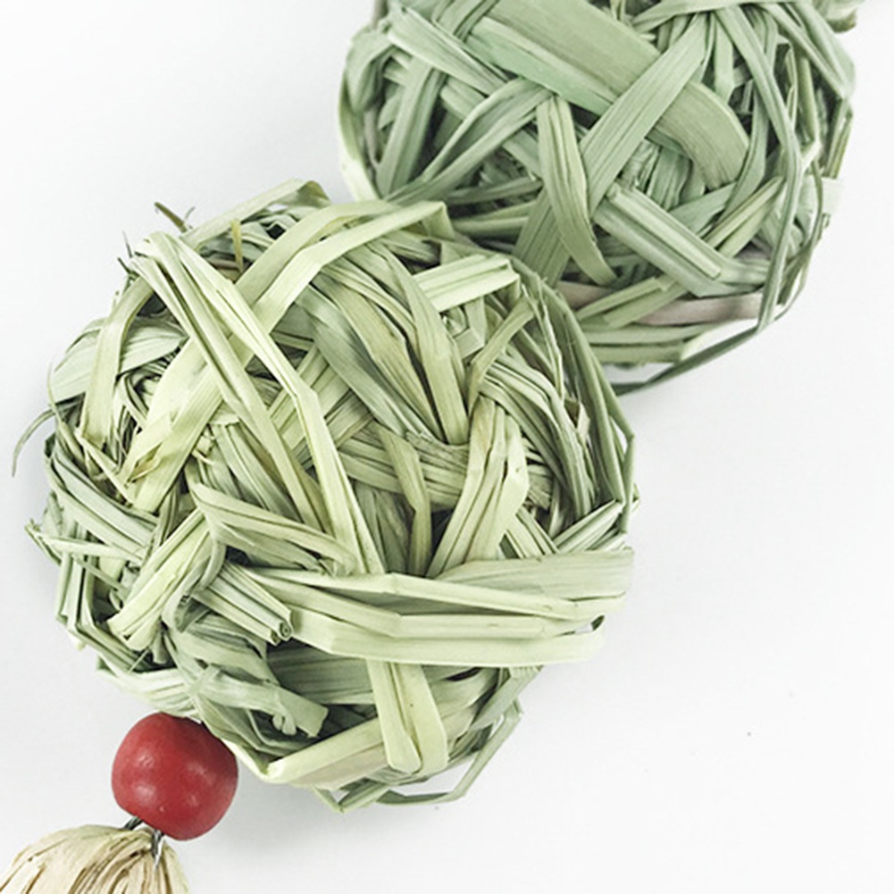 Buy 2pcs Small Animals Chinchilla Toys Chew Toys for Rabbits Hamster