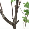 thumbnail image 5 of Noble House Coles 4' x 2.5' Artificial Enkianthus Tree, Green, 5 of 7