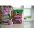thumbnail image 4 of MIRACLE MG Mélange de Pots d'Orchidées 8QT, 4 of 8
