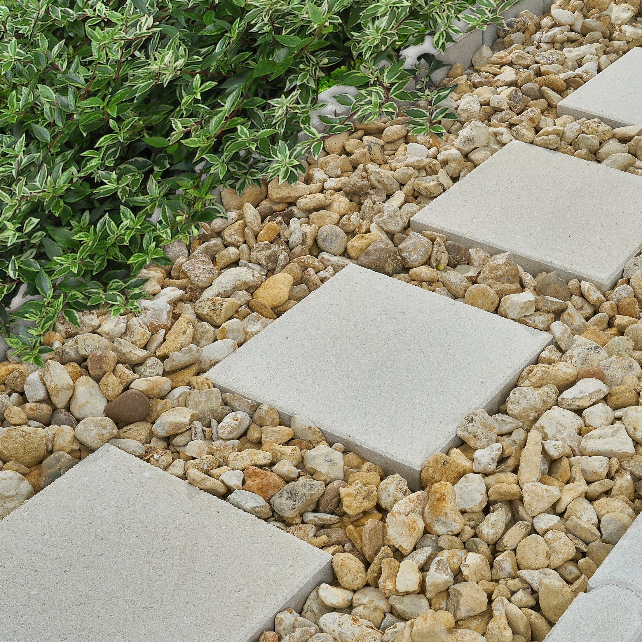 Pavestone 12" Square Limestone (White) Concrete Stepping Stone
