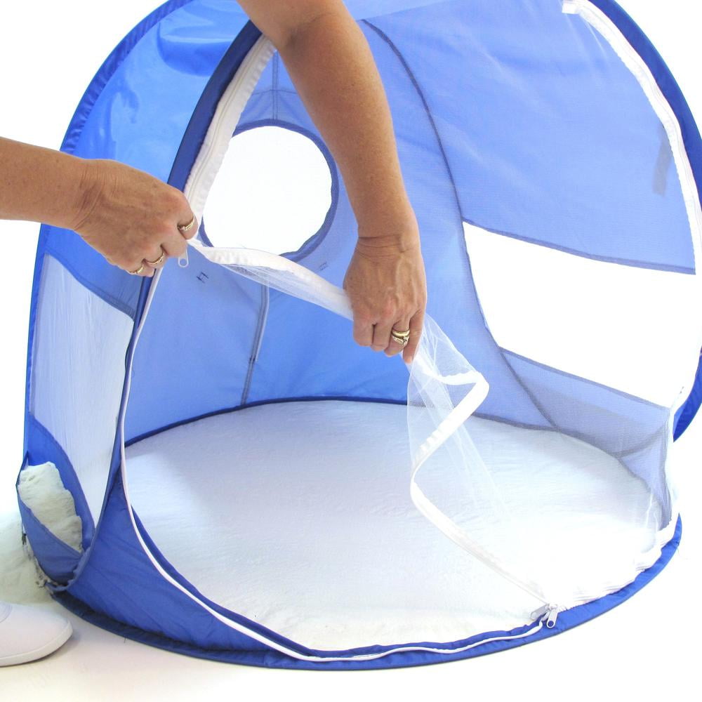 Baby beach dome 2025