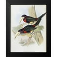 thumbnail image 2 of Gould, John 12x14 Black Modern Framed Museum Art Print Titled - Yellow-Billed Aracari (Toucan), 2 of 5