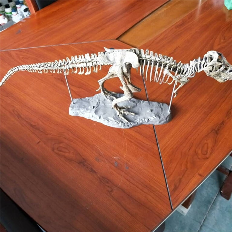 LYNN Tyrannosaure Rex Squelette Dinosaure T Rex Animal Model Jouets Collector Super Décoration (190325MQ02#QC#BYC LYNN Tyrannosaure Rex Squelette Dinosaure T Rex Animal Model Jouets Collector Super Décoration (190325MQ02#QC#BYC