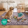 thumbnail image 4 of ODIKA 4'x6' Ultra-Soft Area Rug, Greece Greek Key Vintage Meander Bordered Fret Motifs Border None Washable, Bare feet friendly, Silk-Touch for Bedroom Home office, 4 of 7