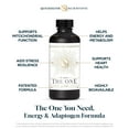 thumbnail image 2 of Quicksilver Scientific The ONE Mitochondrial Elixir - Mitochondria Supplement to Support Cellular Health with Phosphatidylcholine, Resveratrol, Reishi Mushroom & CoQ10 Liquid (3.38oz / 100ml), 2 of 5