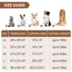 thumbnail image 5 of Cama para mascotas JOLLYVOGUE, pequeño y relajante, con forma de rosquilla, para perros y gatos, 5 of 8
