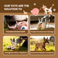 thumbnail image 4 of Juguete para Perros Nocciola Duradero con Sonido, Peluche de Animales de Granja, 4 of 7