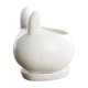 thumbnail image 2 of Maceta mini maceta de cerámica Decoración blanca de sobremesa – maceta clásica de interior del tamaño de un pulgar, diseño estable, fácil de limpiar, 2 tamaños, 1 maceta incluida, 2 of 6